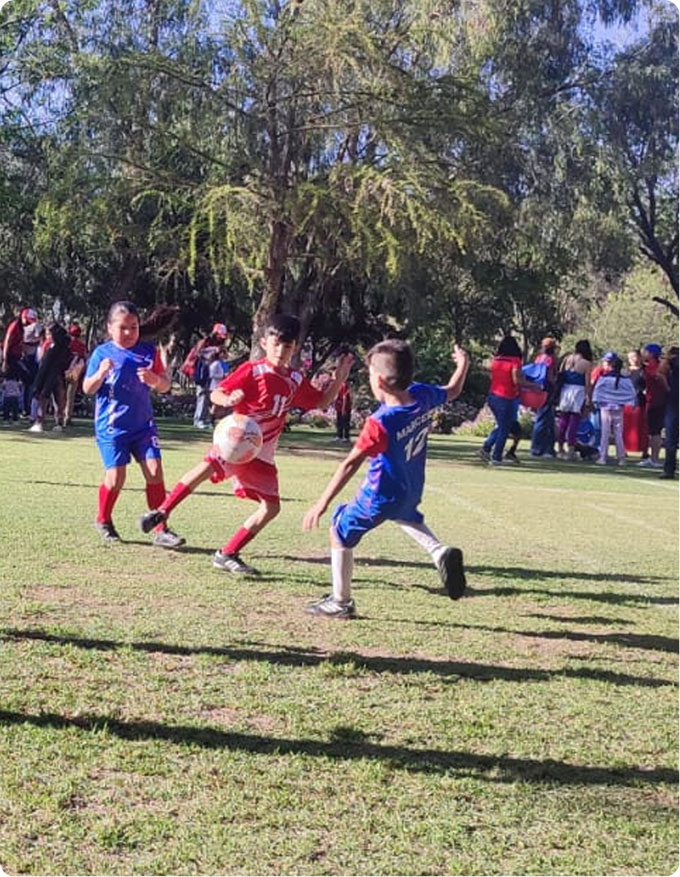 Colegio Excelsior vida saleciana primaria 2